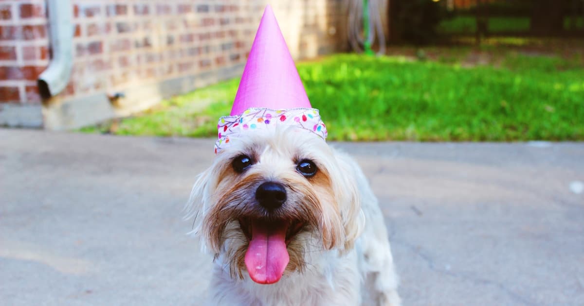 Happy retiree planning next chapter with retirement gift list